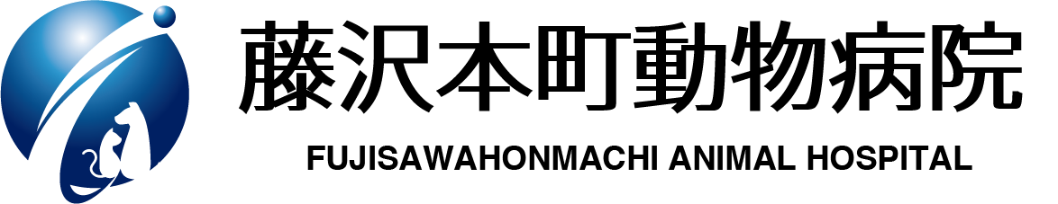 藤沢本町動物