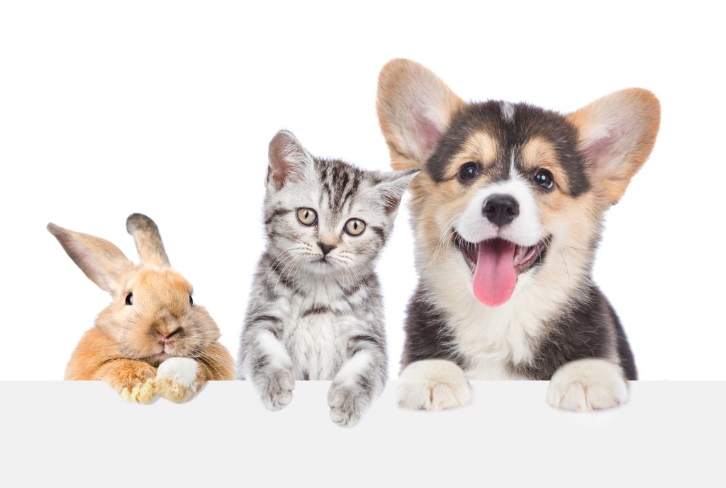 その他サービス、各種ご相談