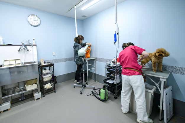 トリミングルーム